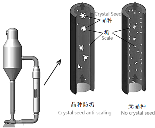 WPS图片2