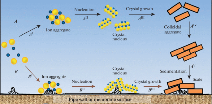 Scale formation mechanism