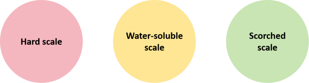 Scale kind