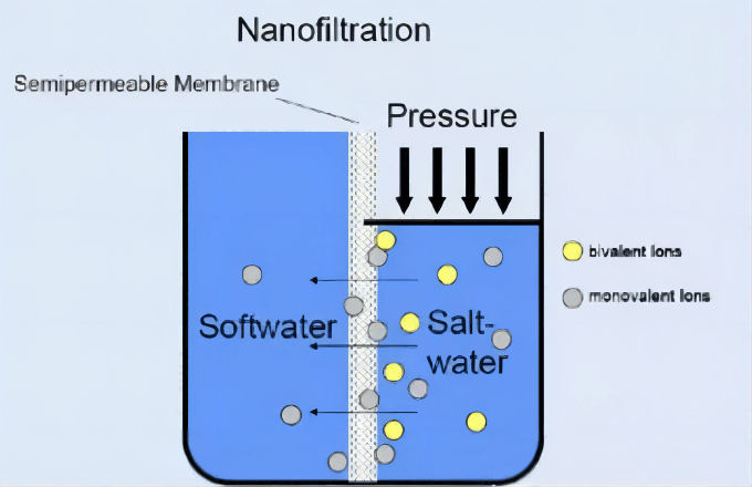 NF(1)(1)